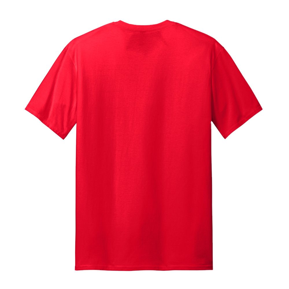 Alstyle AL1301 - Adult 100% Cotton T-Shirt - Custom T-shirts